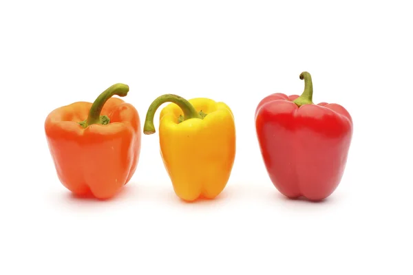 Colored peppers on white background — Stock Photo, Image