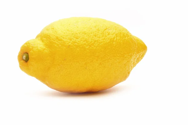 Citron sur fond blanc — Photo