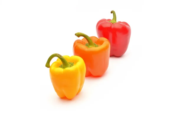 Paprika na bílém pozadí — Stock fotografie