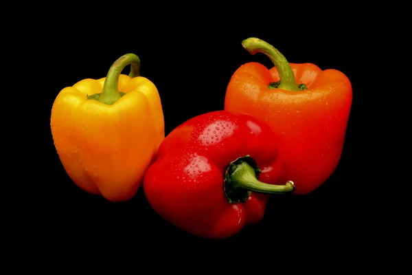 Paprika na černém pozadí — Stock fotografie