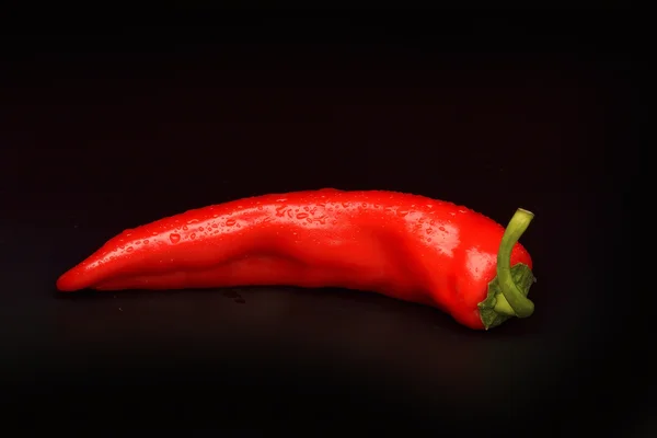 Chili pepper on black background — Stock Photo, Image