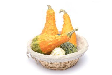 Sepet ve renkli kabak toplama