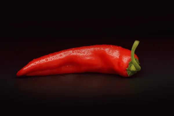 Chili pimienta sobre fondo negro — Foto de Stock