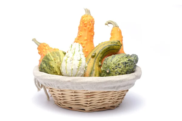 Basket and colorful pumpkins collection — Stock Photo, Image