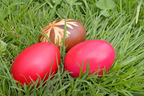 Великодня Декорація з різнокольоровими яйцями в траві — стокове фото