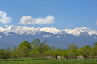 Yeşil çayır ve kar beyaz dağların arkasında Alp, yatay