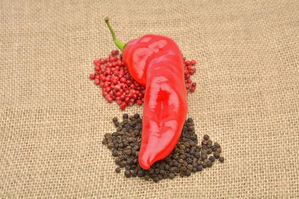 Red hot chili pepper on the jute gunny bag — Stock Photo, Image