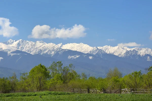 高山景观与绿色草地和雪的白色山脉背后 — 图库照片