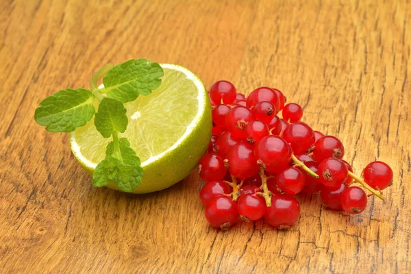 Plasterek limonki i czerwonych porzeczek — Zdjęcie stockowe
