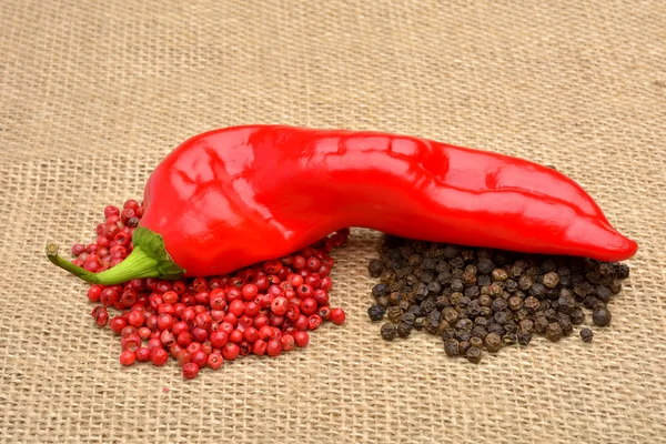 Hot chili and peppers on old canvas — Stock Photo, Image