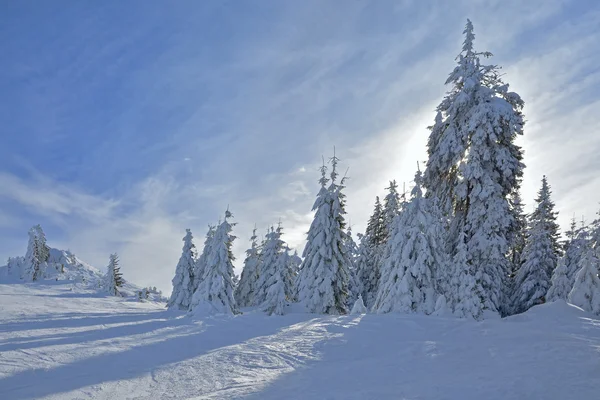 Paisaje invierno Fotos de stock libres de derechos