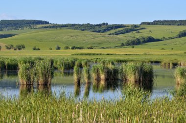 Yeşil alan, göl ve parlak mavi gökyüzü