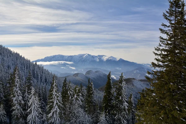 Paisaje invierno —  Fotos de Stock