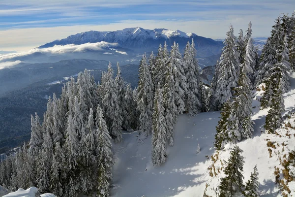 Winterlandschap — Stockfoto