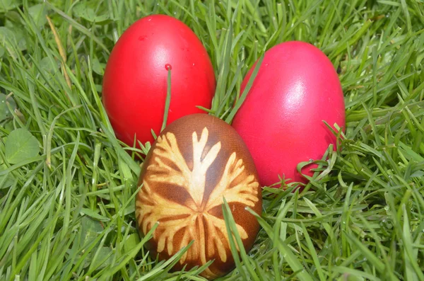 Easter Dekoration with colorful egs in grass — Stock Photo, Image