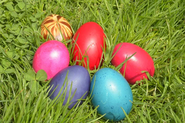 Easter Dekoration with colorful egs in grass — Stock Photo, Image