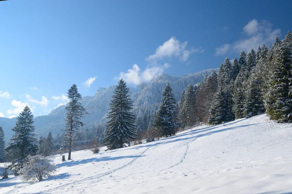 Hermoso paisaje de invierno en la montaña —  Fotos de Stock