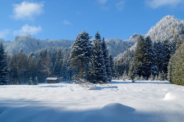 Hermoso paisaje de invierno en la montaña —  Fotos de Stock