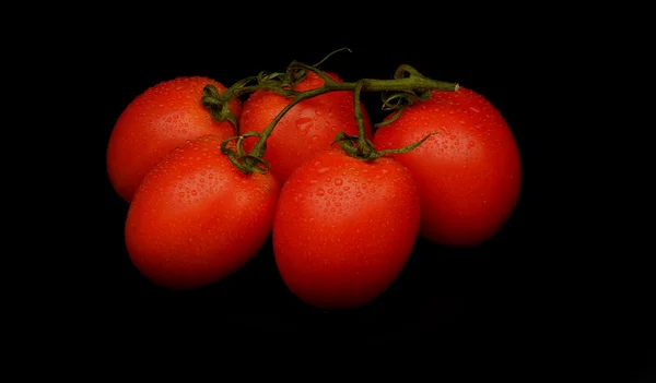 Tomatoes on black background — Stock Photo, Image