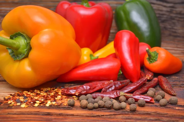 Barevné papriky, chilli papričky a koření — Stock fotografie