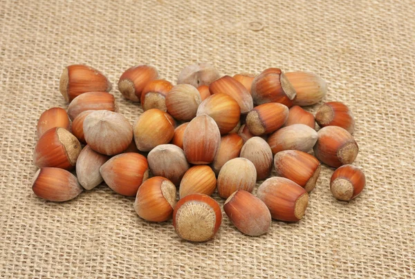 Nuts on old canvas — Stock Photo, Image