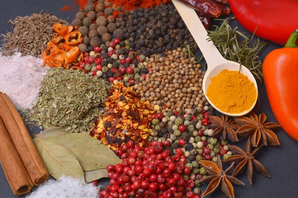 Composition with different spices and herbs — Stock Photo, Image