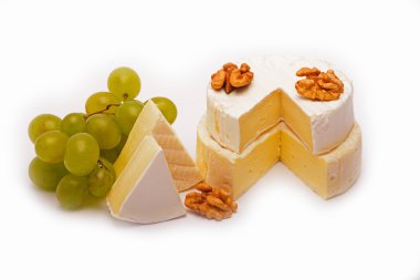 beyaz zemin üzerine peynir türleri