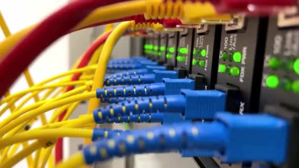 Fiber Optik Dönüştürücü Fiber Optik Ethernet Kablo Sunucu Odasındaki Düğmeye — Stok video