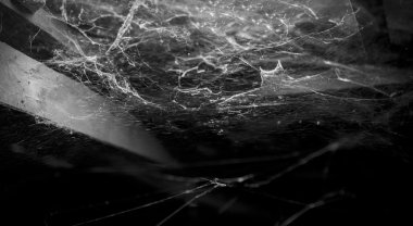 cobweb in ancient thai house