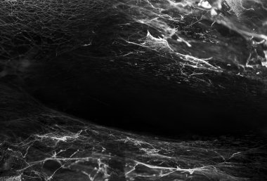 Soyut örümcek ağı korku benzer gözleri şekil