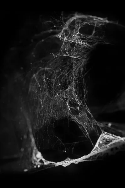 Spindelnät eller spider web i forntida thailändska hus isolerat på svart bakgrund — Stockfoto