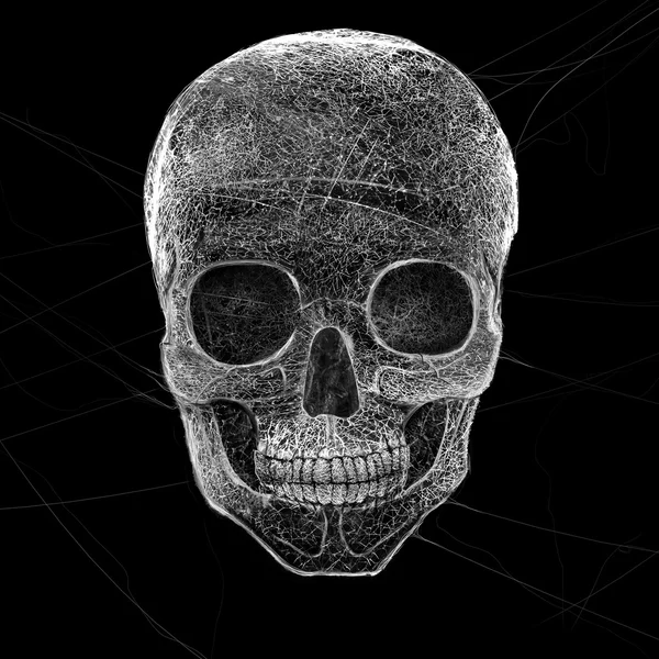 Horror Cobweb or spider web  Skull — Stock Photo, Image