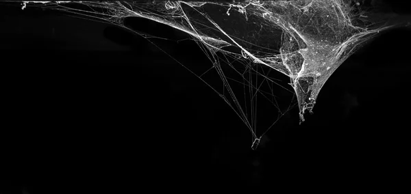 Horor pavučina nebo spider web v starověké thajské domu izolovaná na černém pozadí — Stock fotografie