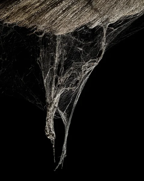 Horror cobweb or spider web in ancient thai house isolated on black — Stock Photo, Image