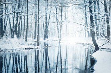 Karla kaplı yaprak döken bir ormanda donmuş berrak bir nehir. Sudaki simetri yansımaları, doğal ayna. Ağaçlarda don var. Kış Harikalar Diyarı. Idyllic kırsal kesim. Atmosferik manzara
