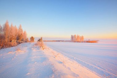 Finlandiya 'da gün batımında karla kaplı donmuş gölün panoramik manzarası. Arkasında huş ağaçları olan bir ada. Pembe gökyüzü, sıcak güneş ışığı. Kış sporu, noel tatilleri, çevre koruma
