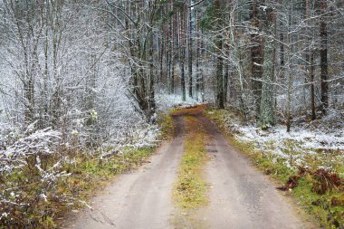 Tek şeritli S yolu, yapraklı ağaçların arasından kristal beyaz bir buzun içinde kırsal yol şeklinde. Renkli altın yapraklar ve yerde taze kar. Letonya 'da kış başları. Idyllic manzara