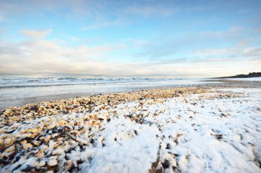 Bir sürü deniz kabuğuyla kaplı Baltık deniz kıyısından bir manzara. Riga Körfezi, Letonya. Renkli dramatik bulut manzarası. Kararsız hava, dalgalar, su sıçramaları. Kış turizmi, küresel ısınma