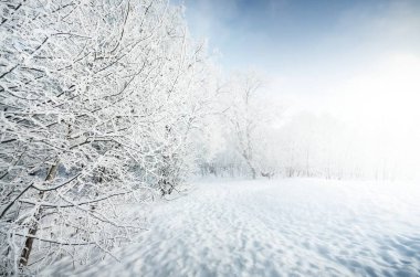 Güneşli bir günde kırsal alanda karla kaplı bir yol. Açık mavi gökyüzü. Arka planda kırağı olan yaprak döken ağaçlar. Idyllic kış manzarası. Noel, kayak, tehlikeli sürüş, yürüyüş