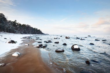 Gün batımında karla kaplı Baltık sahili manzarası. Taşlar suya yakın planda. Arka planda kozalaklı orman var. Şaşırtıcı bulut manzarası. Ilık akşam ışığı. Kaltene, Letonya