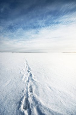 Donmuş karla kaplı göl, açık mavi gökyüzünün altında, sirrus bulutlarıyla. Taze karda insan izleri. Kuzey Kutbu, Laponya. Küresel ısınma, kış sporu ve balıkçılık, çevre koruma teması