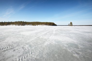Gün batımında donmuş göl ve çam ormanı. Buz dokusu. Traktör izleri yakın plan. Dramatik mavi gökyüzü, bulutlu manzara. Kış Harikalar Diyarı. Doğa, ekoloji, iklim değişikliği, eko-turizm, kararsız hava