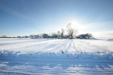 Bir kar fırtınasından sonra huş ağacı ve karla kaplı tepenin üzerindeki diğer yaprak döken ağaçlar. Kırsal yolun manzarası. Açık mavi gökyüzü. Kış Harikalar Diyarı. Idyllic kış sahnesi. Finlandiya
