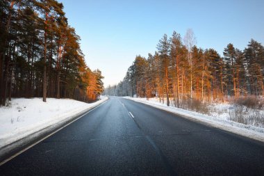 Gün batımında kozalaklı ormanın içinden temiz boş bir asfalt köy yolu. Kar fırtınasından sonra çam ve çam ağaçları. Kış yolculuğu. Letonya