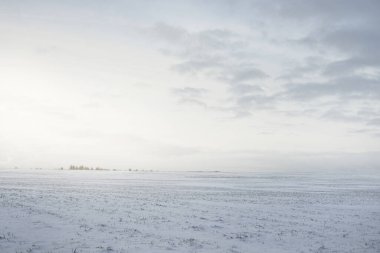 Gün batımında kar fırtınasından sonra karla kaplı arazinin panoramik görüntüsü. Taze karda insan izleri. Buz çölü. Dramatik bulut manzarası. Küresel ısınma teması. Laponya, Finlandiya