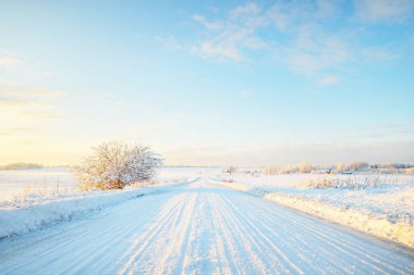 Gün batımında kar fırtınasından sonra karla kaplı arazide köy yolu. Gökyüzü açık, altın ışık. Idyllic kırsal kesim. Panoramik manzara. Noel, lojistik, tehlikeli sürüş, off-road, ulaşım