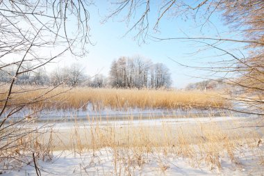 Küçük donmuş bir nehir ve uzun huş ağaçları kar fırtınasından sonra, yakın plan. Taze kar üzerinde insan izleri. Açık kış günü, sıcak güneş ışığı. Letonya