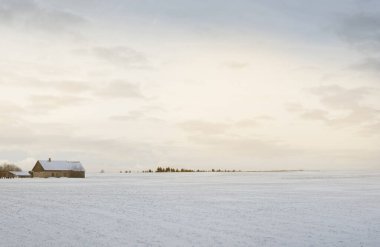 Gün batımında kar fırtınasından sonra karla kaplı arazinin panoramik görüntüsü. Taze karda insan izleri. Arka planda eski bir ahşap ev var. Buz çölü. Küresel ısınma teması. Laponya, Finlandiya
