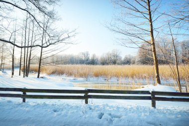 Küçük donmuş nehrin yanındaki ahşap çit ve kar fırtınasından sonra kırağı olan uzun huş ağaçları, yakın plan. Taze kar üzerinde insan izleri. Açık kış günü, sıcak güneş ışığı. Letonya