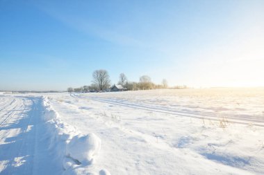 Bir kar fırtınasından sonra huş ağacı ve karla kaplı tepenin üzerindeki diğer yaprak döken ağaçlar. Kar taneleri, ağaç gövdelerinde saf sabah güneşi. Açık mavi gökyüzü. Kış Harikalar Diyarı. Idyllic kış sahnesi. Finlandiya